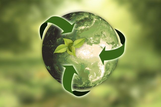 environmentally sustainable environmentally sustainable